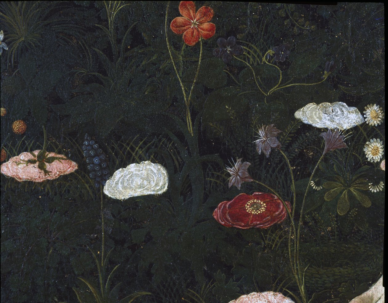 Primavera, c.1478, tempera on panel detail of 558 alkotó: Sandro Botticelli