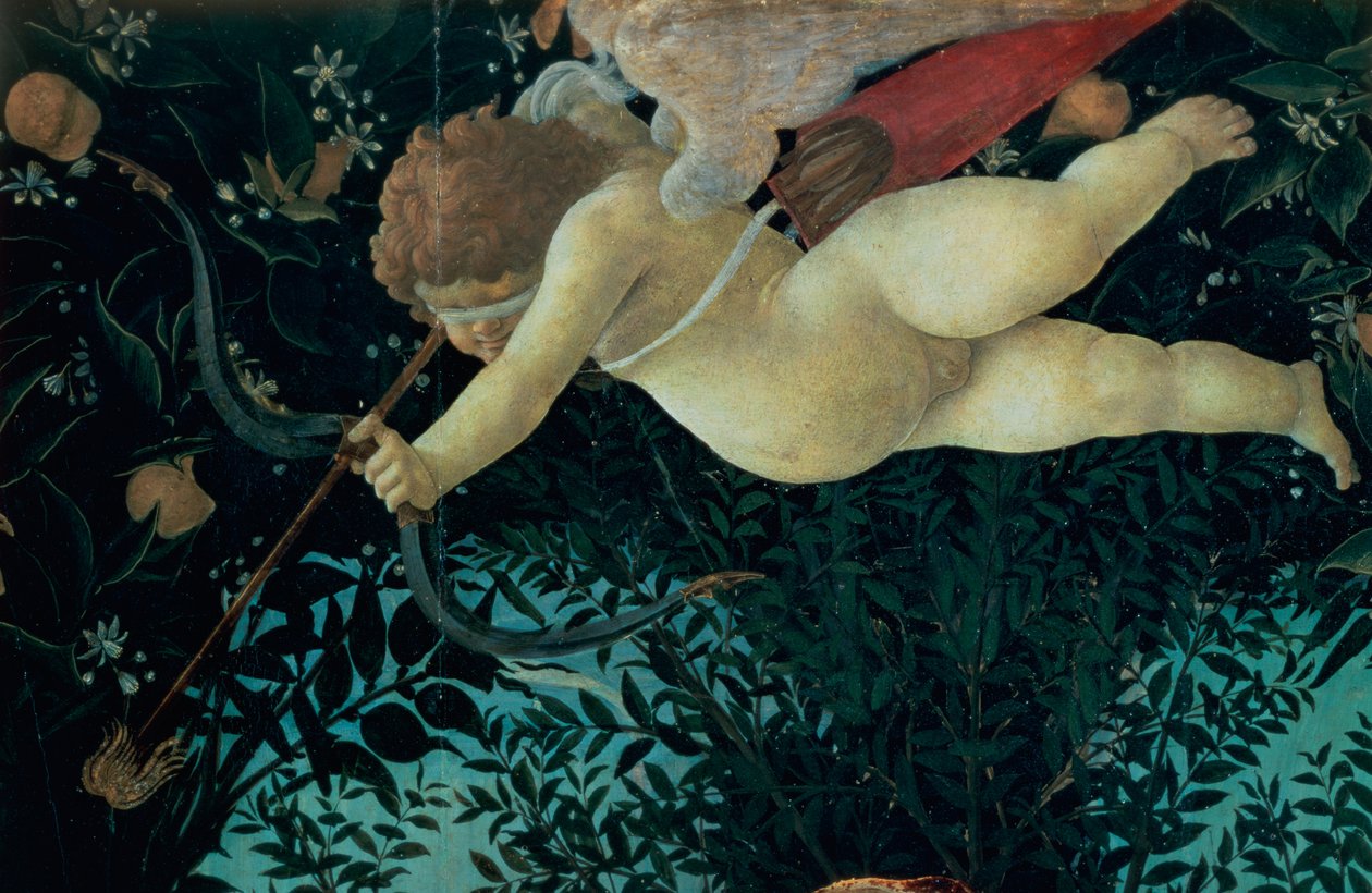 Ámor részlete, a Primavera temperából az 558-as panelrészleten alkotó: Sandro Botticelli
