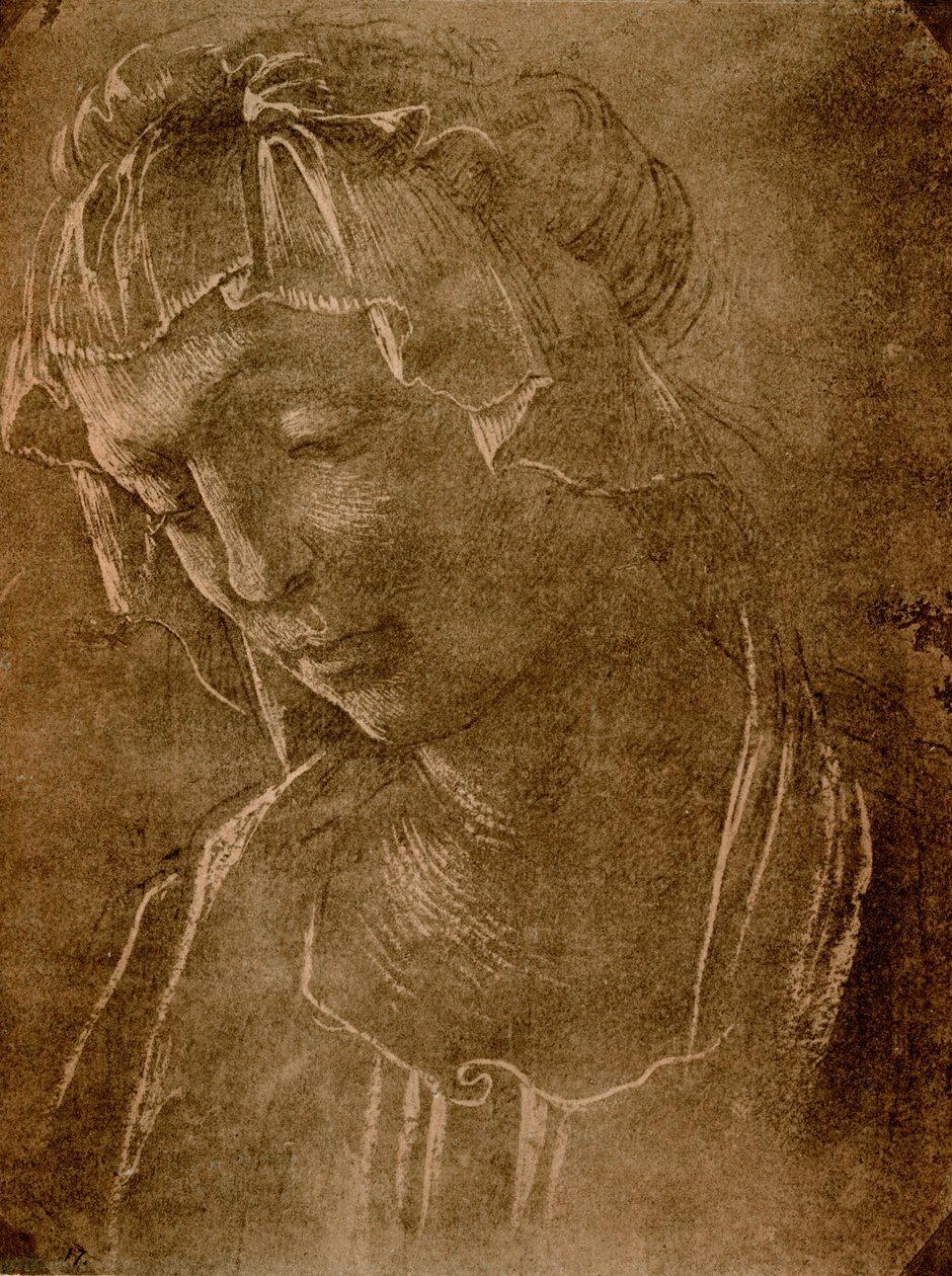 Női fej alkotó: Sandro Botticelli