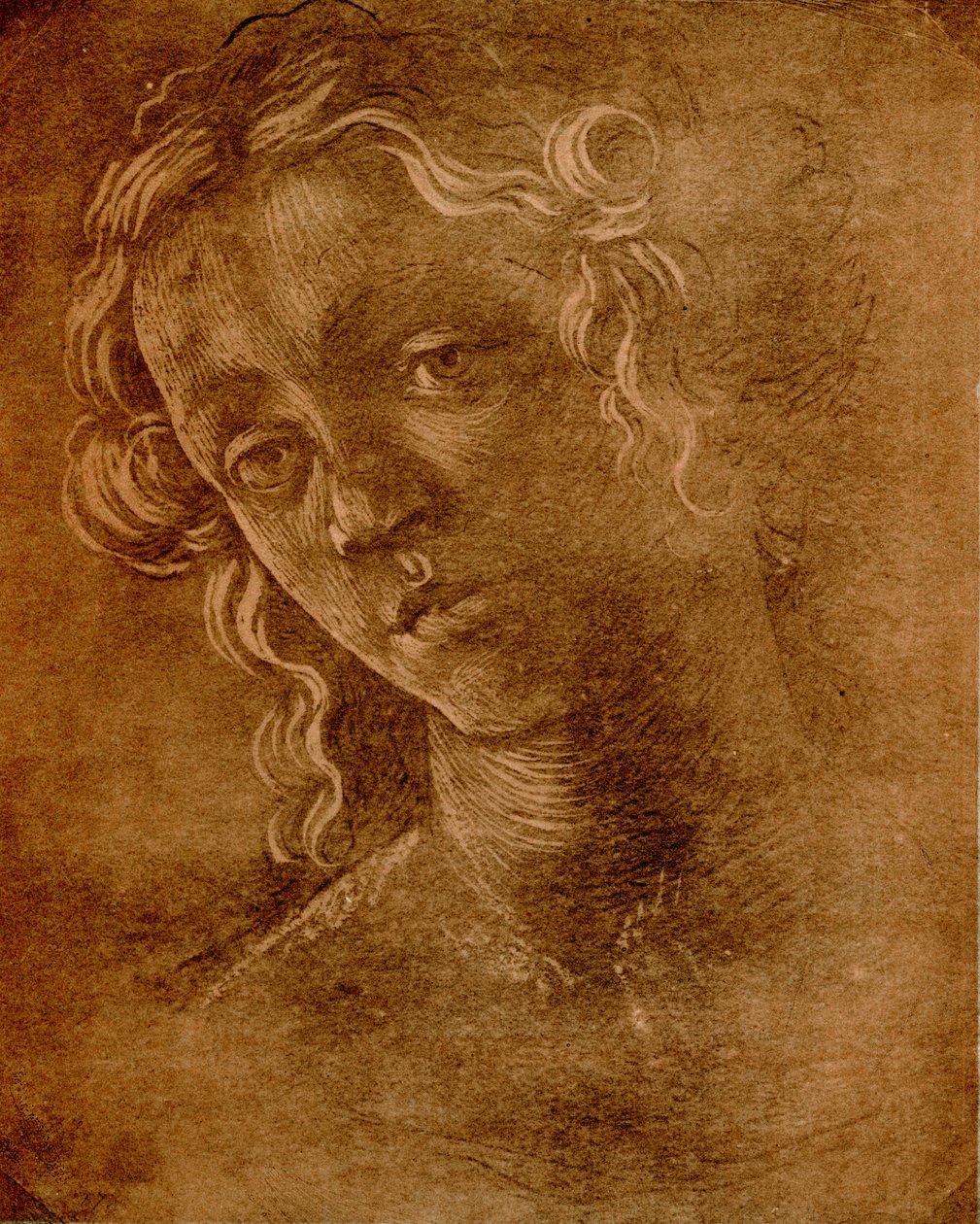 Női fej alkotó: Sandro Botticelli