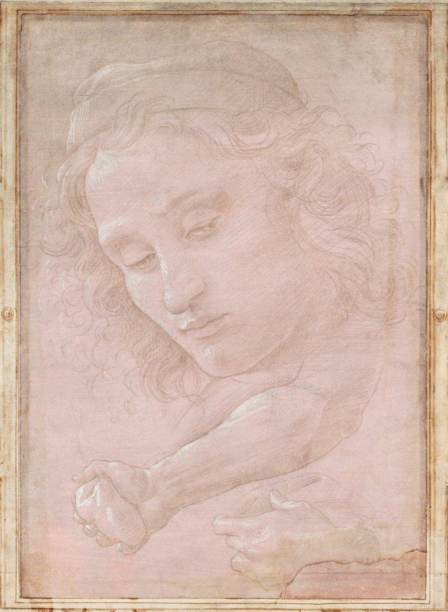 egy sapkát viselő ifjúság vezetője; a jobb alkar, a kéz egy követ szorongató; és egy drapériát tartó bal kéz alkotó: Sandro Botticelli