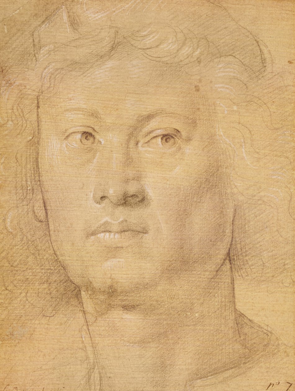 Angyalfej (ceruza és zsírkréta papírra) alkotó: Sandro Botticelli