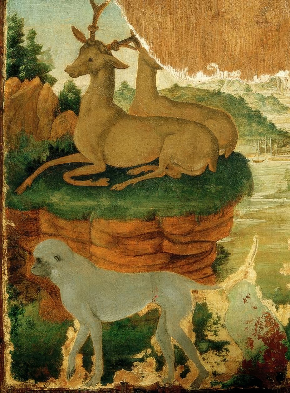 Táj őzike és majmok alkotó: Sandro Botticelli