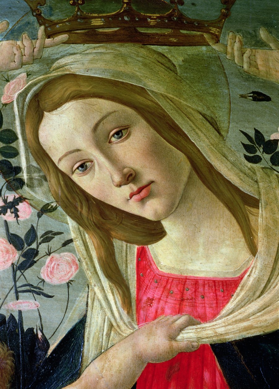 Madonna és Angyalok által koronázott gyermek, a Madonna olaj részlete a panelen alkotó: Sandro Botticelli