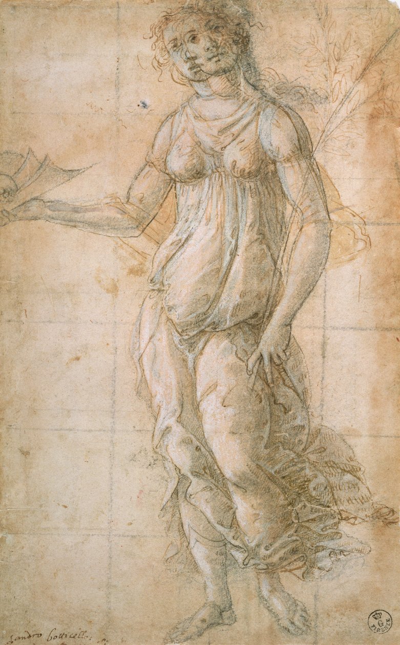 Athéné tanulmányozása (rajz) alkotó: Sandro Botticelli