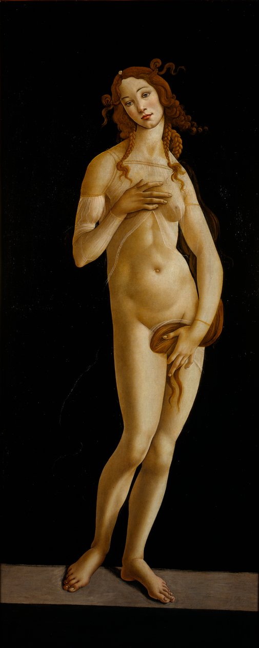 Venus Pudica, kb. 1485-1490. alkotó: Sandro Botticelli