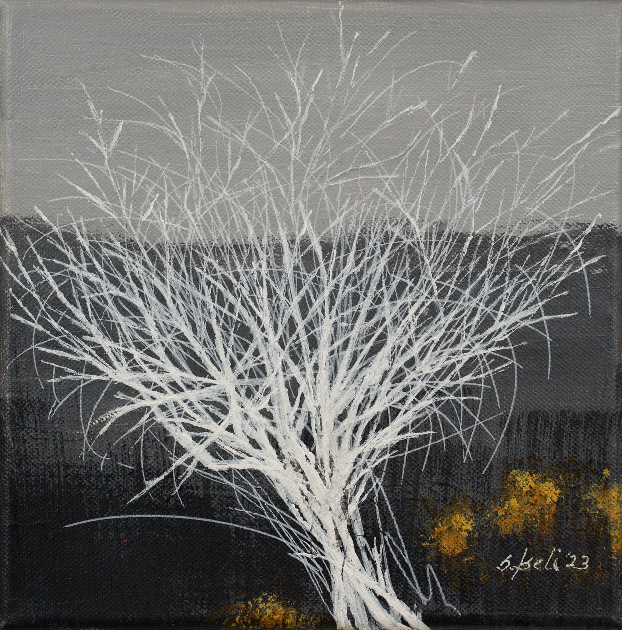  alkotó: Sandy Iseli