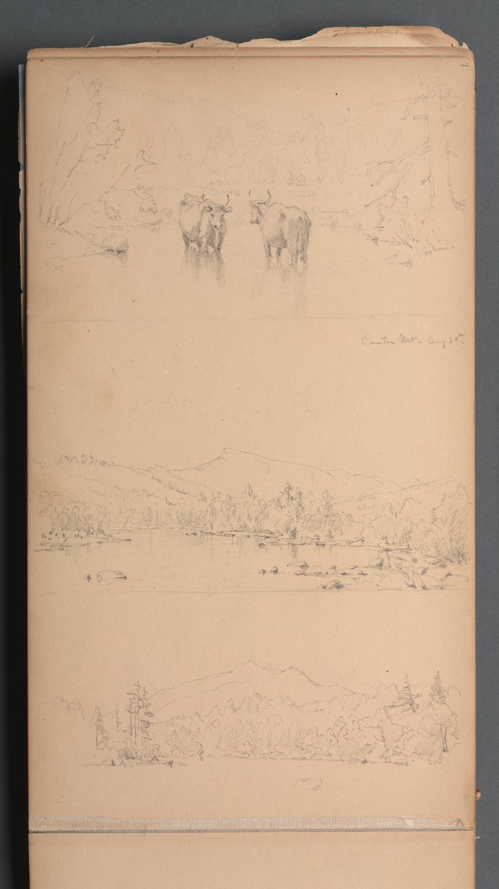 Vázlatfüzet, 07. oldal: "Carter Mt () Aug. 28." alkotó: Sanford Robinson Gifford