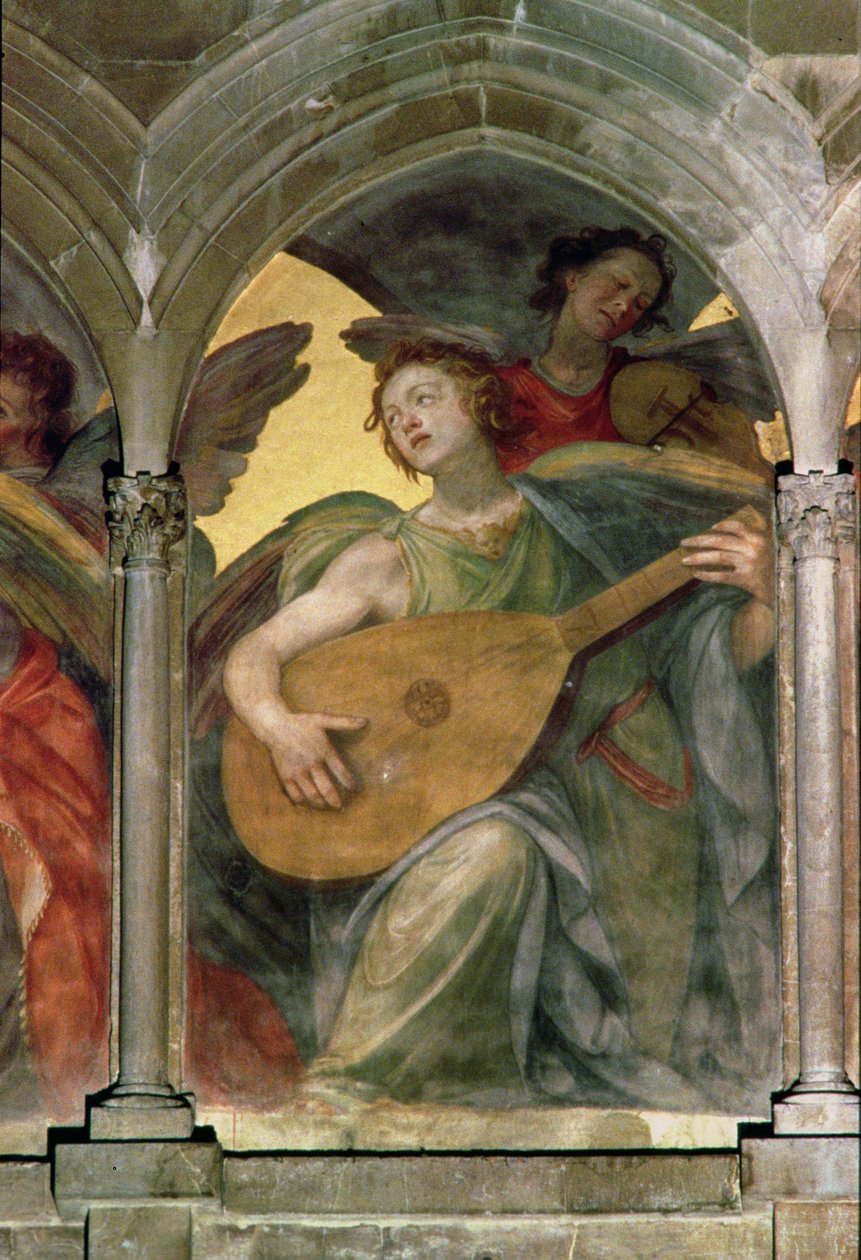 Zene angyal a trompe loeil kolostorban, egy mandolin játszó angyal részlete, a belső nyugati homlokzati freskó részlete 100329 alkotó: Santi di Tito