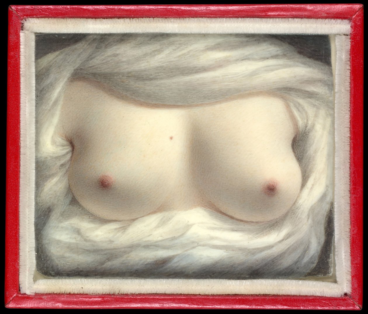 A szépség feltárt alkotó: Sarah Goodridge