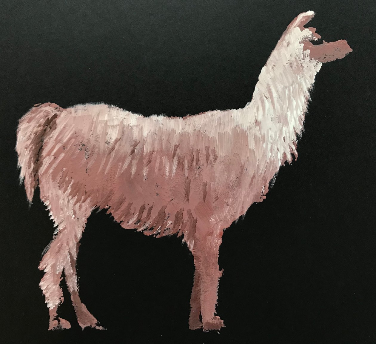 Láma alkotó: Sarah Thompson Engels