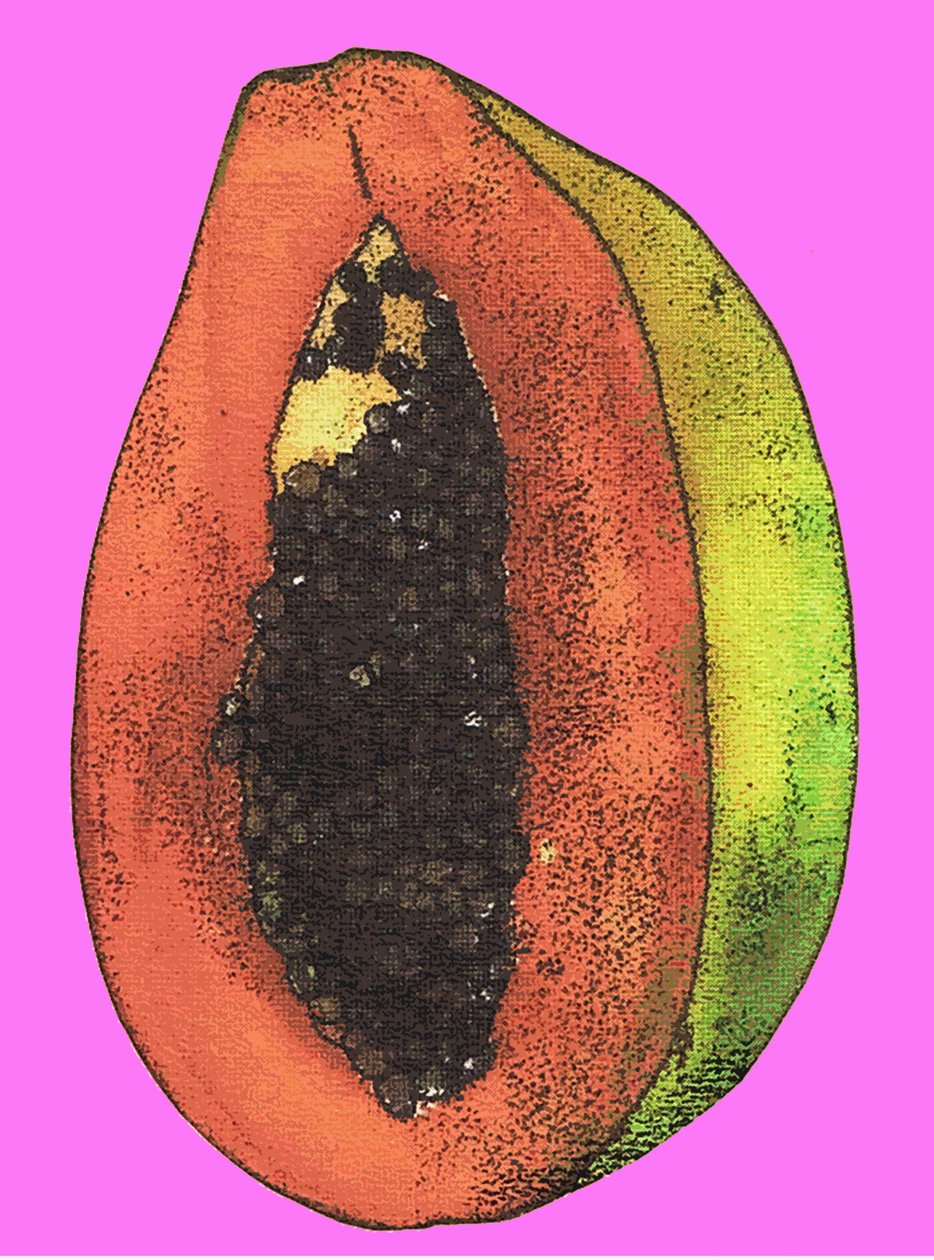 Papaya, 2009 (olaj és tinta papíron) alkotó: Sarah Thompson Engels