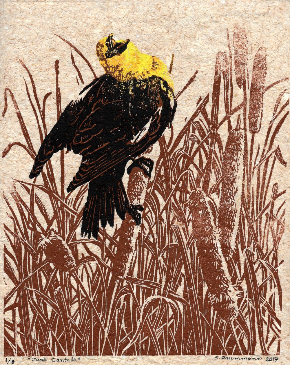 Cattail Cantata, 2017 (Linómetszet) alkotó: Sarah Drummond