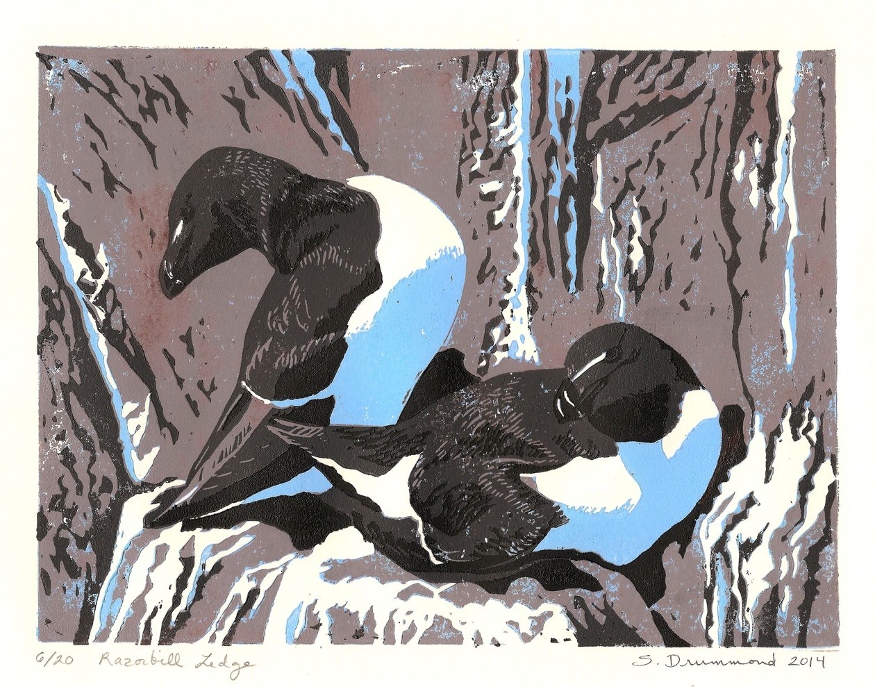 Razorbill Ledge, 2014 (Linómetszet) alkotó: Sarah Drummond