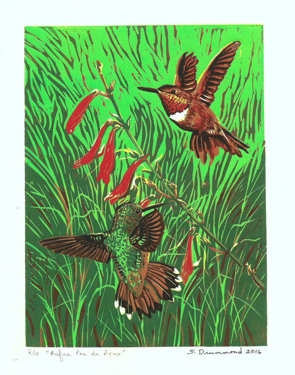 Rufus Pas de Deux, 2016 (Linómetszet ) alkotó: Sarah Drummond