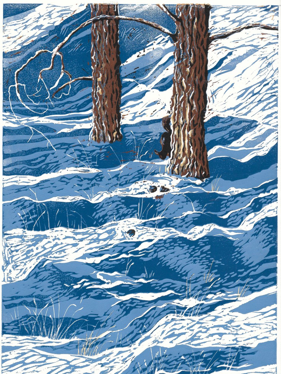 Tavaszi hóesés, 2016 (linómetszet) alkotó: Sarah Drummond