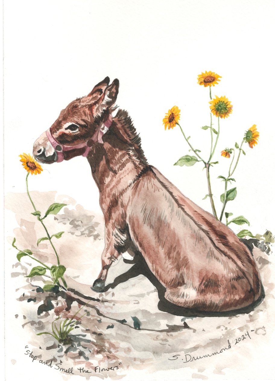 Stop and Smell the Flowers, 2024 (Akvarell, papír) alkotó: Sarah Drummond
