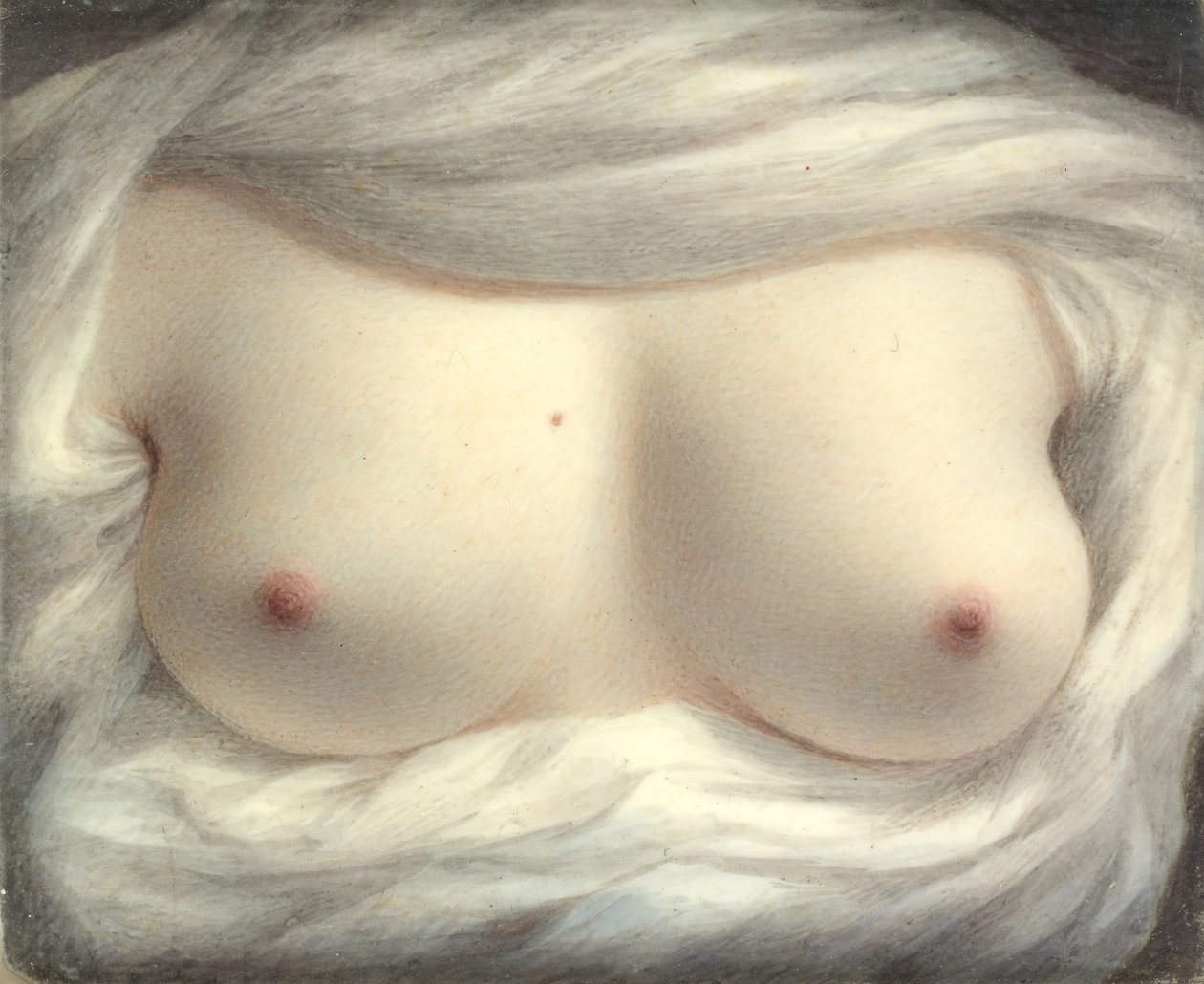 Feltárult szépség, 1828. alkotó: Sarah Goodridge
