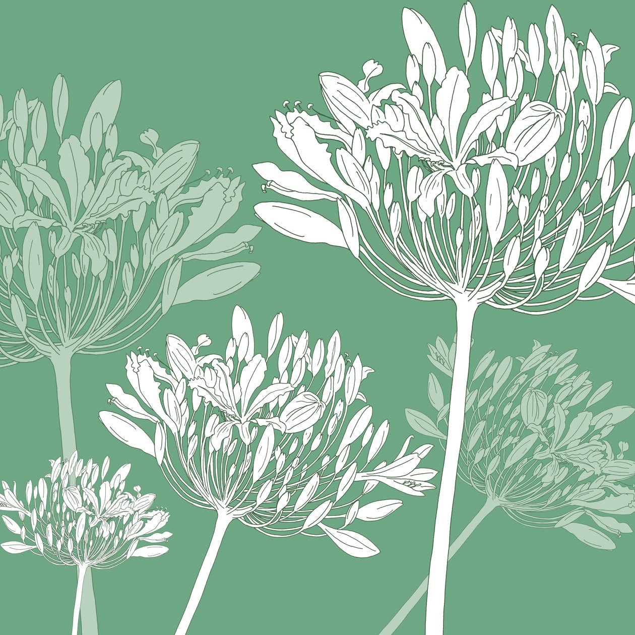 Agapanthus szellő, 2005 (digitális) alkotó: Sarah Hough