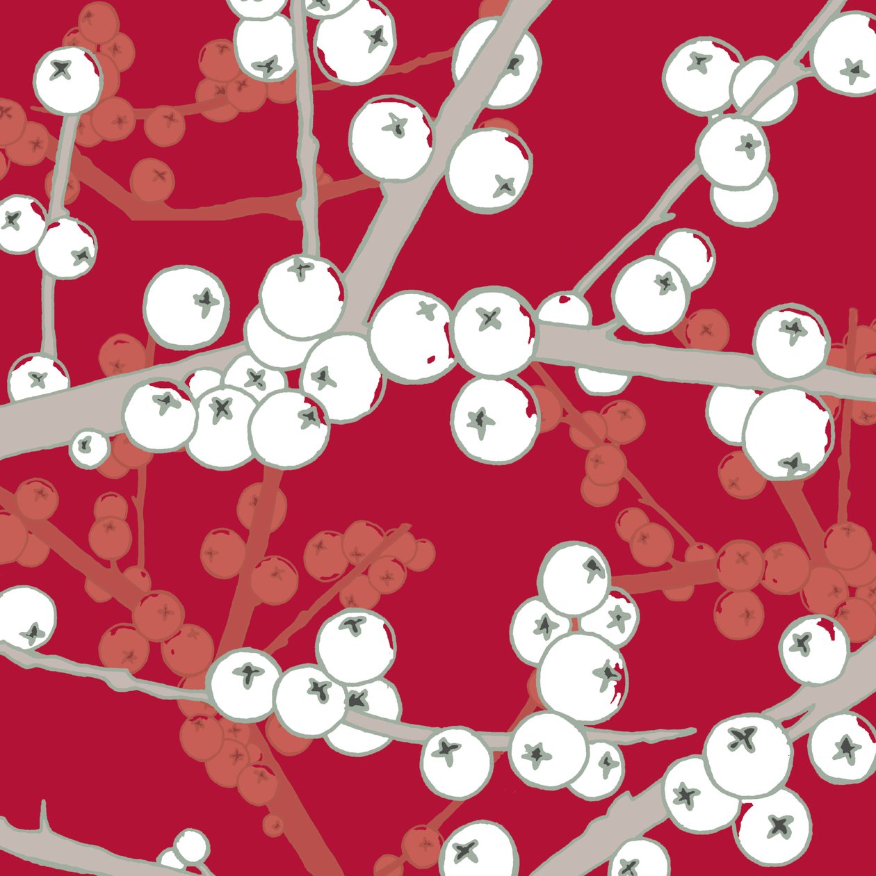 Berry Bright, 2005 (digitális) alkotó: Sarah Hough