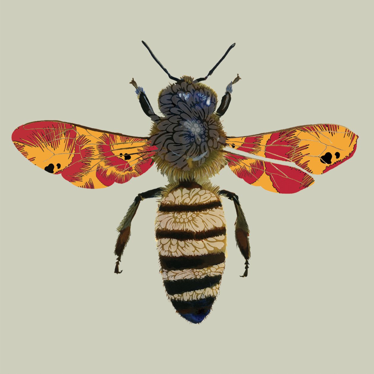 Honey Bee, 2010 (digitális) alkotó: Sarah Hough