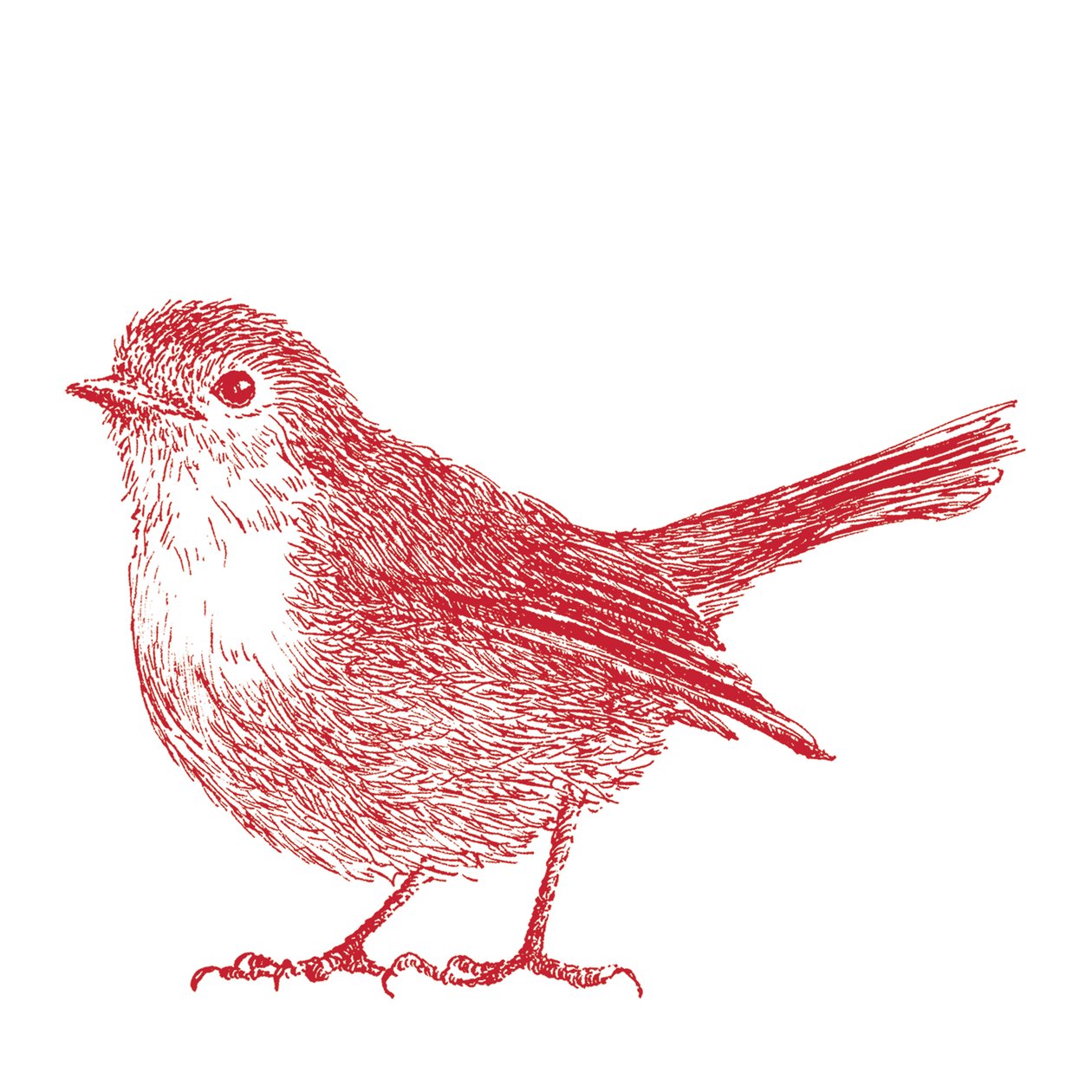 Robin, 2017 alkotó: Sarah Hough