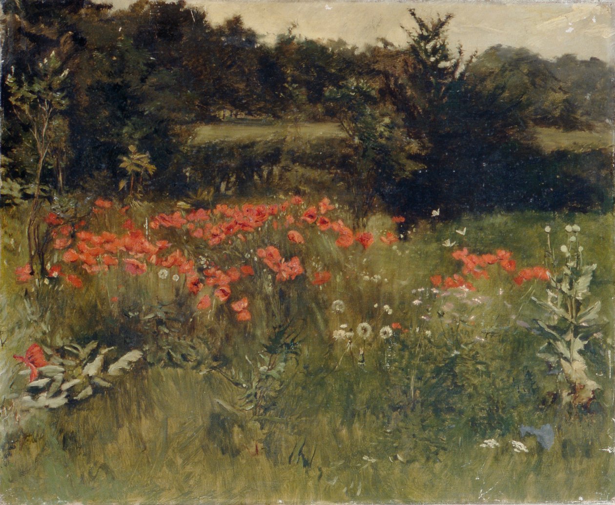 Pipacsok, Reigate alkotó: Sarah Paxton Ball Dodson