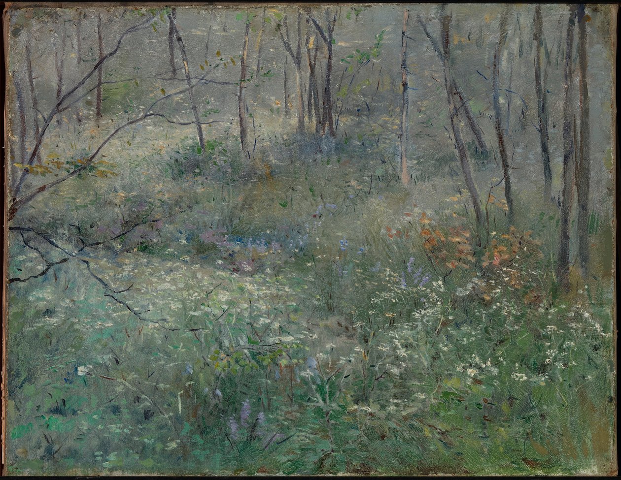 Vad petrezselyem alkotó: Sarah Paxton Ball Dodson