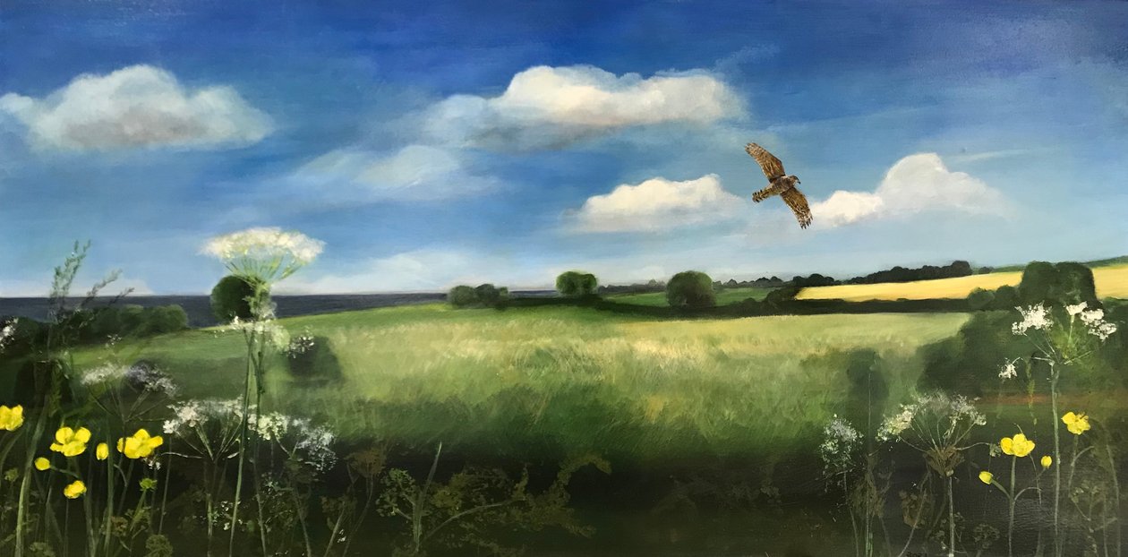Buzzard, 2022 (olaj a fedélzeten) alkotó: Sarah Thompson Engels