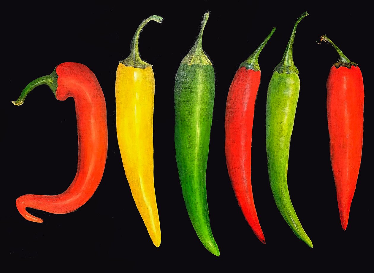 Öt chili, 2024 (olaj, vászon) alkotó: Sarah Thompson Engels