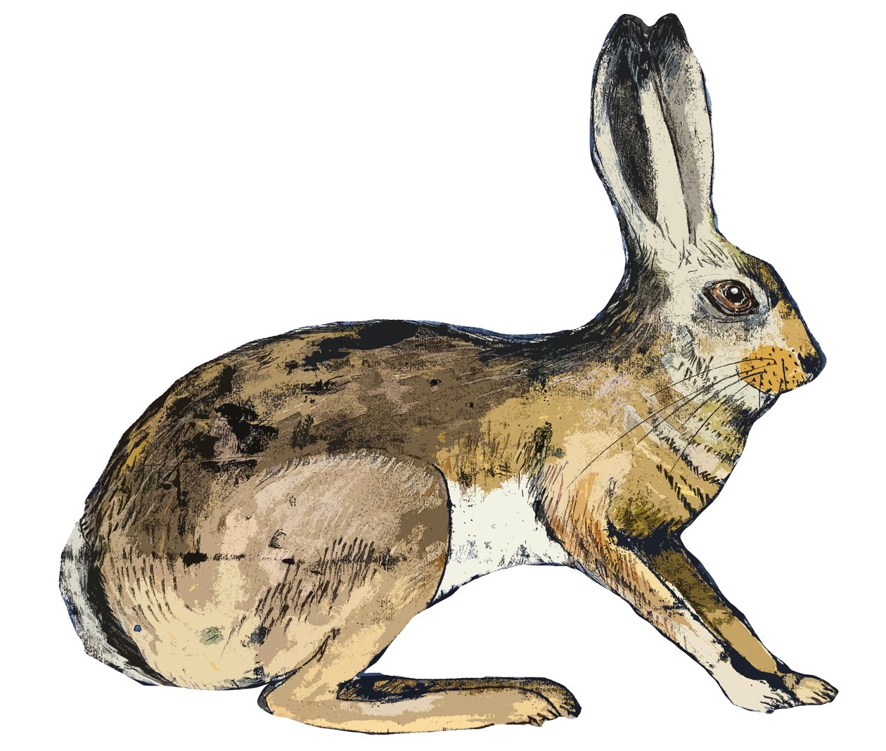Hare, 2024 (monoprint) alkotó: Sarah Thompson Engels