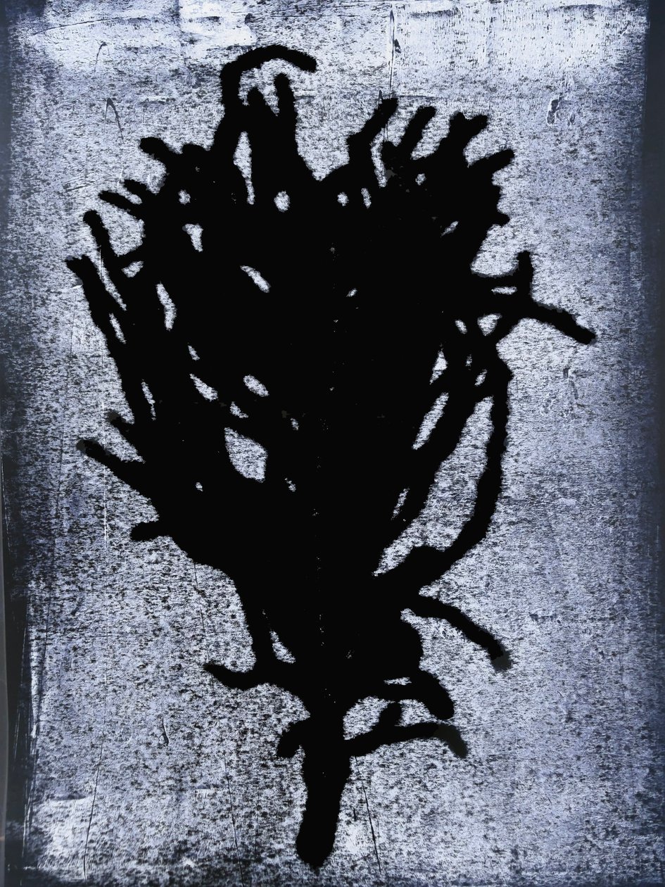 Fekete páfrány 2020 (monoprint) alkotó: Sarah Thompson Engels