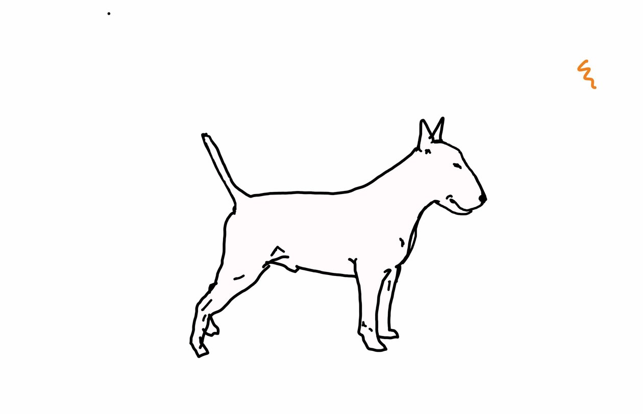 Bull terrier,2018,(digitális rajz) alkotó: Sarah Thompson Engels