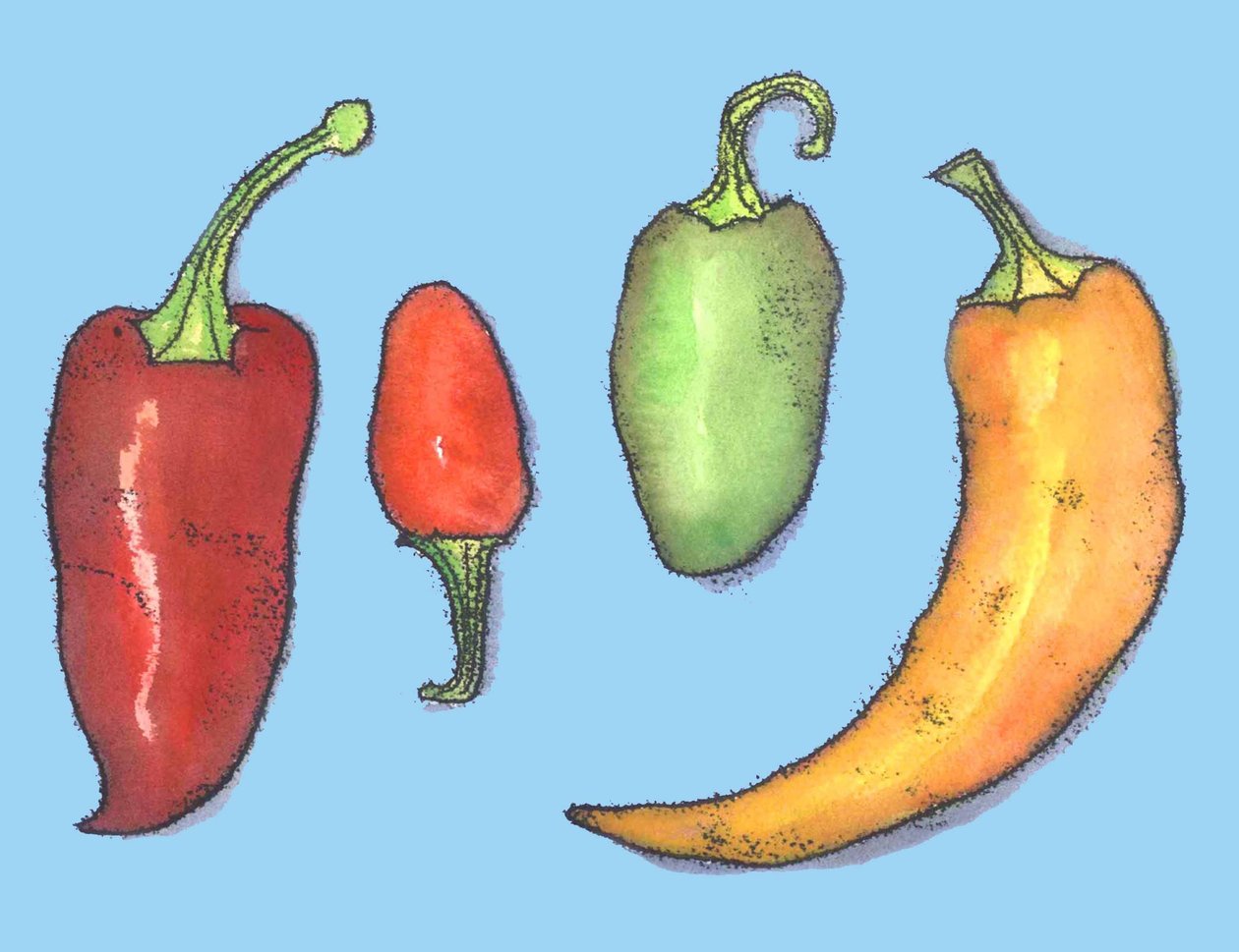Chili paprika, 2013, (monoprint) alkotó: Sarah Thompson Engels