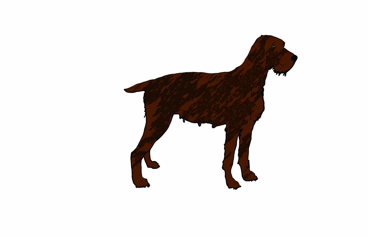 Kutya,2018,(digitális rajz) alkotó: Sarah Thompson Engels