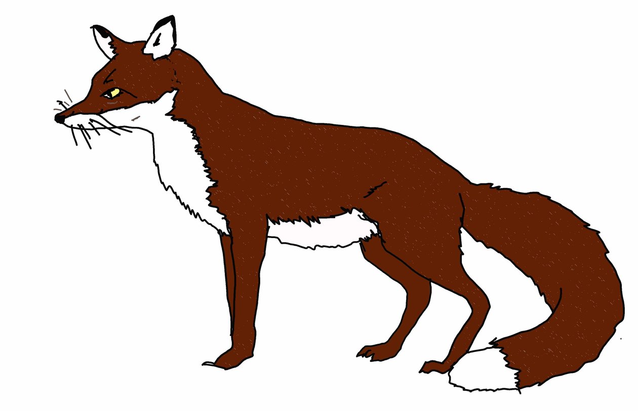 Fox,2018,(digitális rajz) alkotó: Sarah Thompson Engels