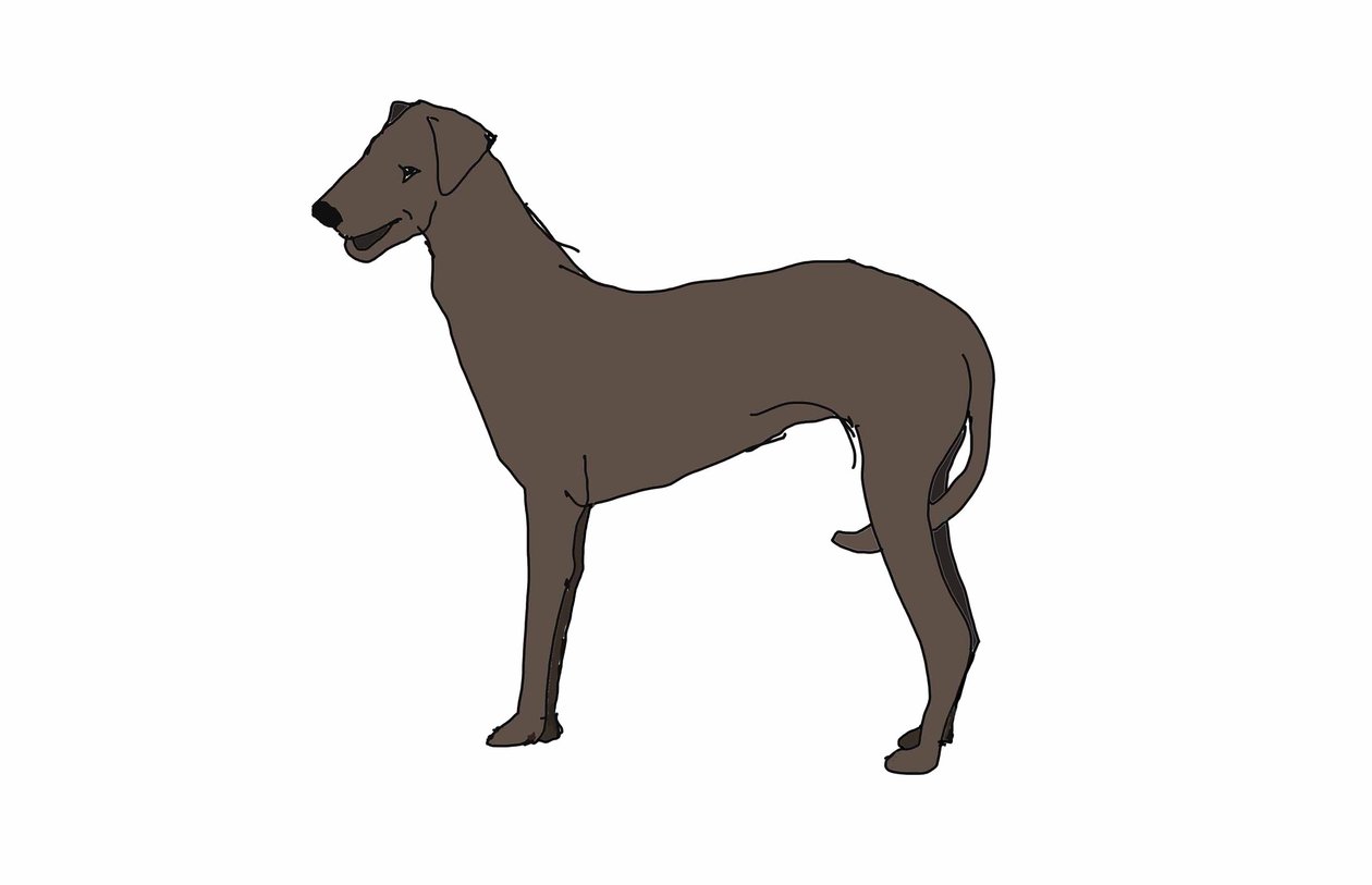 Hound,2018,(digitális rajz) alkotó: Sarah Thompson Engels