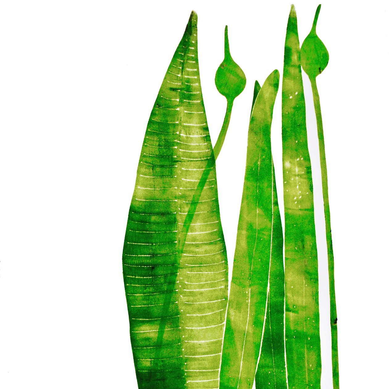 „Hosszú zöld dolgok” (mono print) 2020 alkotó: Sarah Thompson Engels