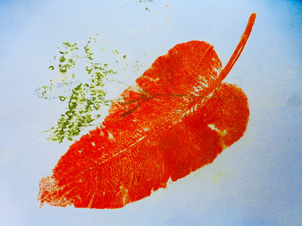 Narancslevél (monoprint papíron) 2020 alkotó: Sarah Thompson Engels