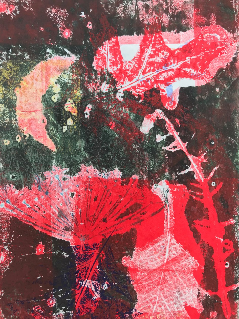 „Vörös hold” 2019 (monoprint) alkotó: Sarah Thompson Engels