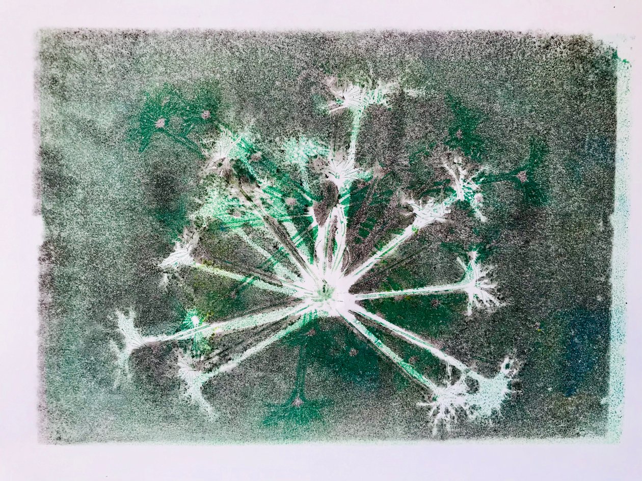 Seedhead I, 2020, (monoprint) alkotó: Sarah Thompson Engels