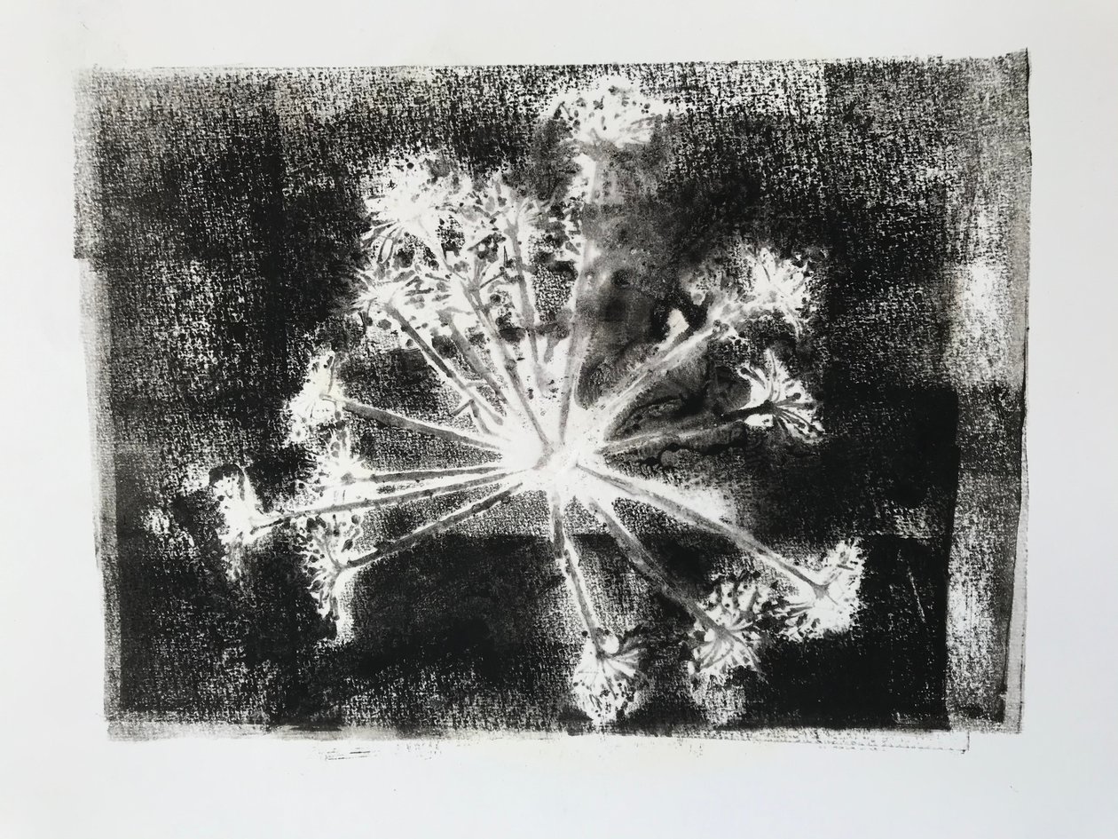 Egyenes E, 2020, (Monoprint) alkotó: Sarah Thompson Engels