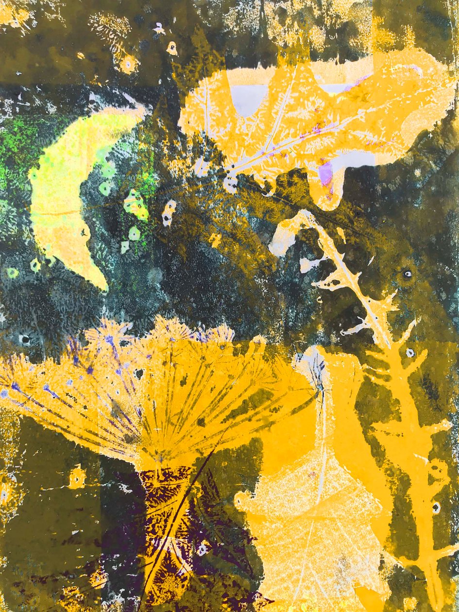 „sárga hold” 2019 (monó nyomtatás) alkotó: Sarah Thompson Engels
