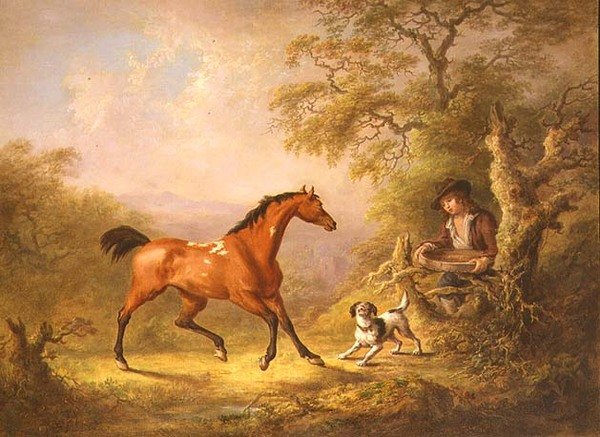 A Groom Feeding a Horse (olaj, vászon) alkotó: Sawrey Gilpin