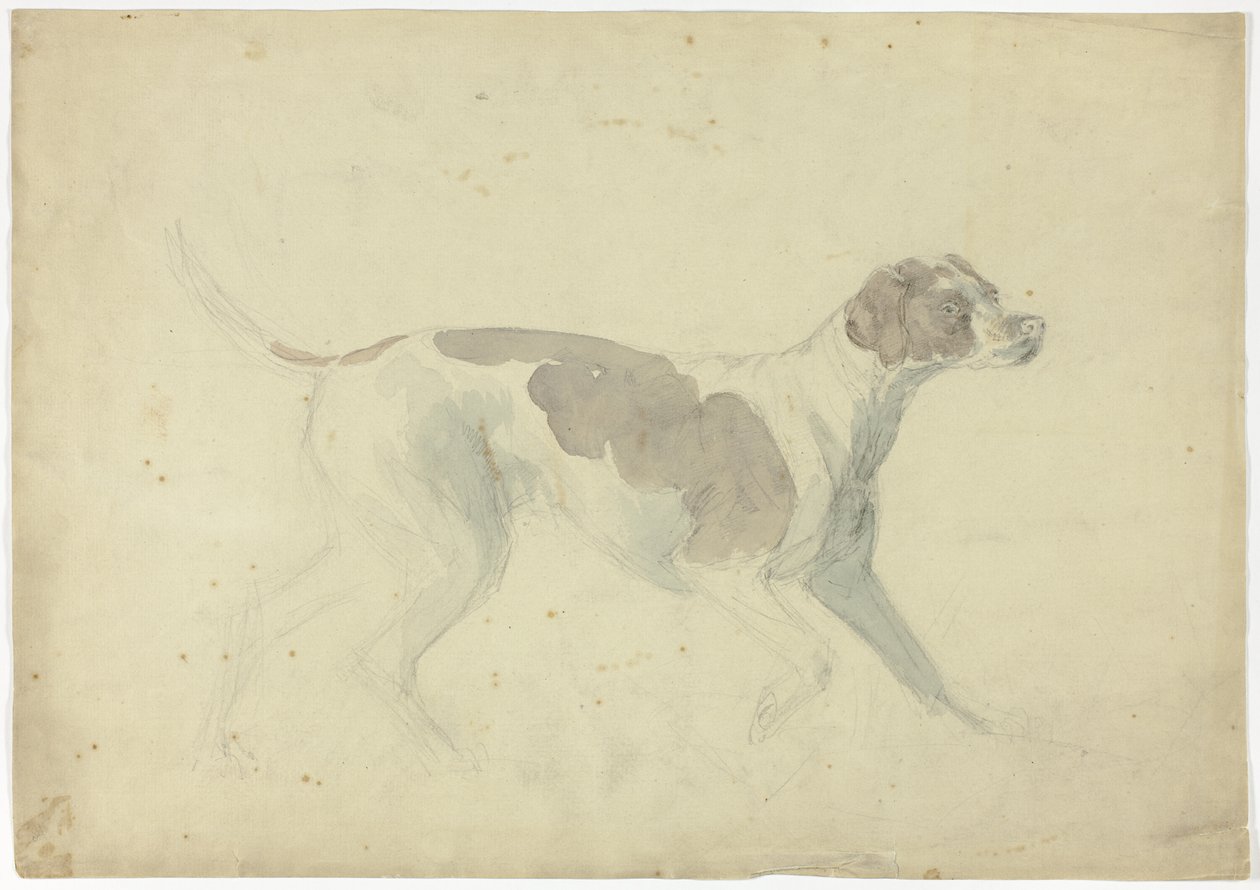 Fox Hound (recto); Vázlatok lóról és lovasról (verso) alkotó: Sawrey Gilpin