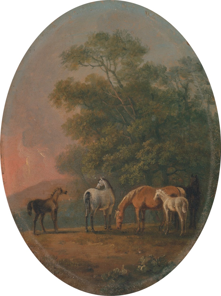 Kancák és csikók [1795, Royal Academy of Arts, London, kiállítási katalógus] alkotó: Sawrey Gilpin