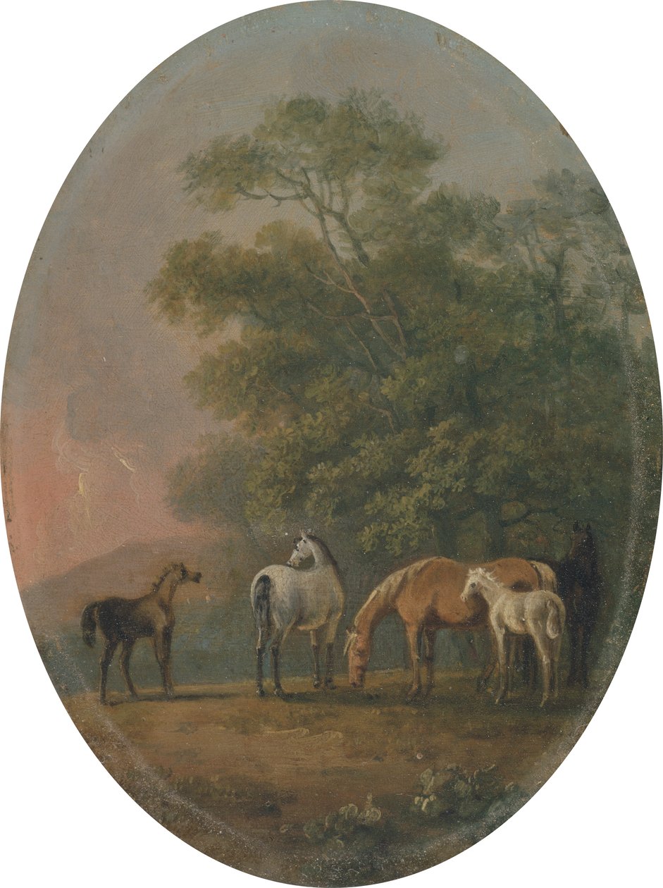 Kancák és csikók, 1770-80 körül (olaj, fém) alkotó: Sawrey Gilpin