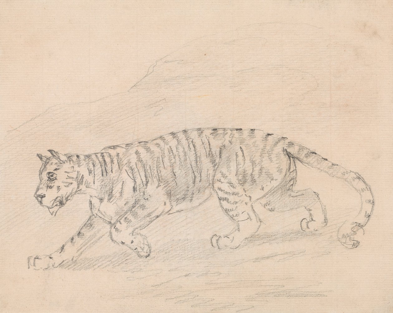 Tigris alkotó: Sawrey Gilpin