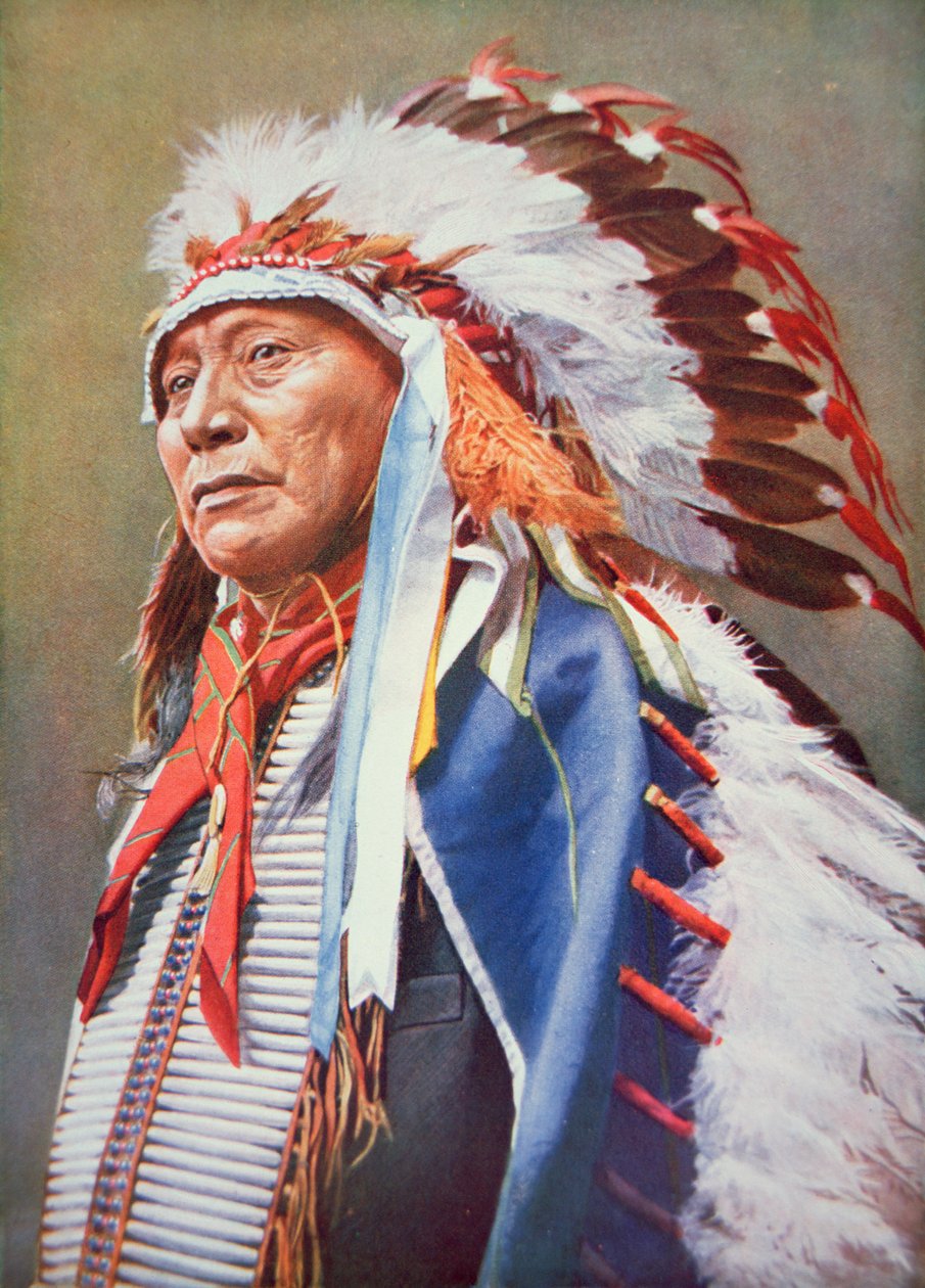 Üreges szarv medve (1850-1913) (színes litó) alkotó: School American