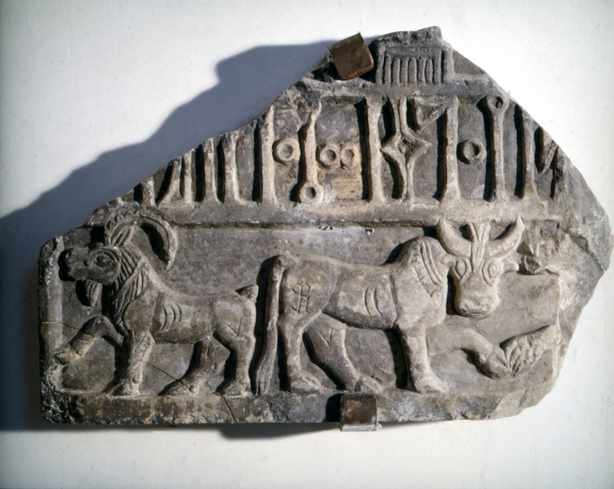 Dél-arábiai művészet: dombormű, állatokat ábrázoló írással. Museo Nazionale Romano, Róma. alkotó: School Arabic